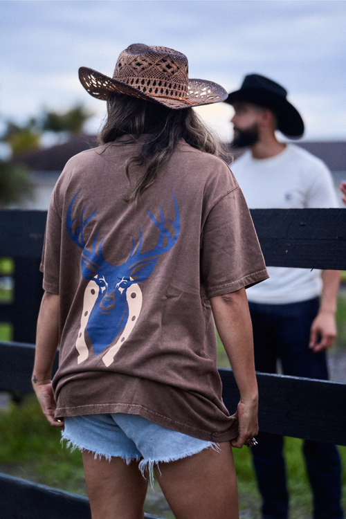 Brown Deer Pump Cover